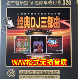 荷东的士高猛土野狼王苏荷酒吧北京工体串烧DJ舞曲英文音乐U盘wav