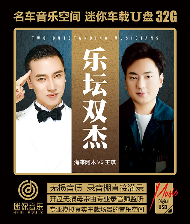 乐坛双杰海来阿木劲爆DJ三生三幸王琪可可托海的牧羊人WAV音乐U盘