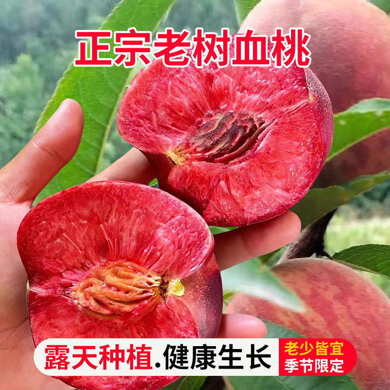 河南正宗朱砂血桃新鲜水果桃子当季孕妇红心甜脆桃子非水蜜桃