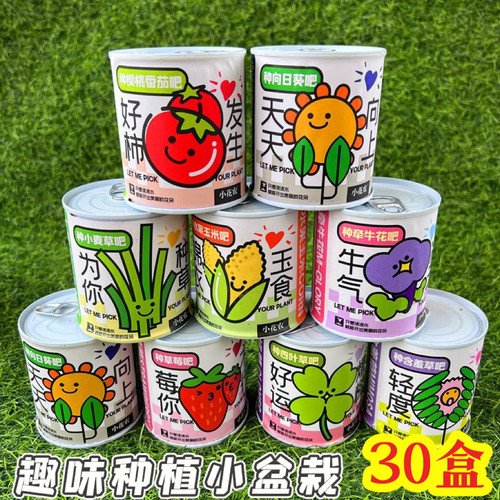 学生实用DIY植物种植盲盒奖品