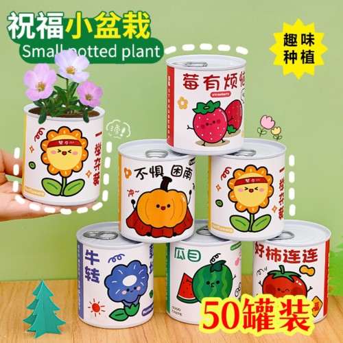 易拉罐植物盆栽种植种子蔬果花盲盒学生奖品儿童罐头小礼物礼品