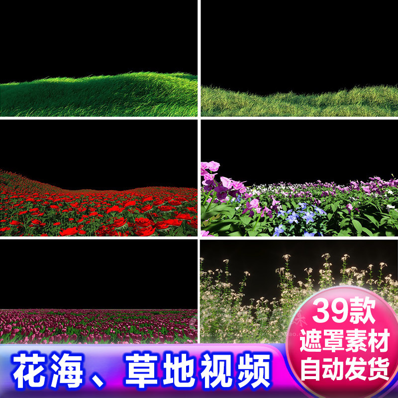 花朵小草带通道素材 绿色草坪地植物花海透明通道 后期免抠像视频