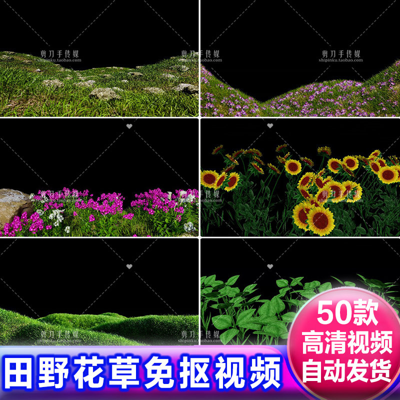 田野花草地植物花海草坪alpha透明通道遮罩素材3D动画免抠像视频