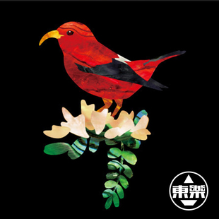 日本产JOCKOMO夏威夷密鳥 吉他贝司仿贝壳纹理琴头琴体贴纸P80UH3