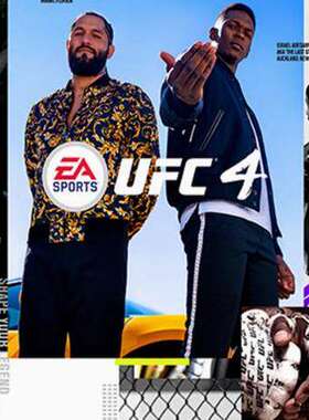 可认证中文PS4游戏UFC