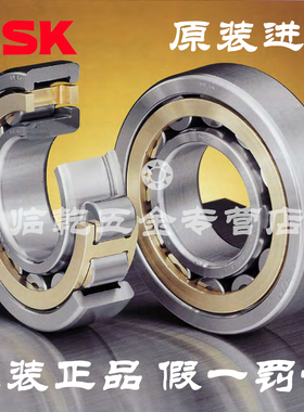 NSK进口 N203 204 205 206 207 208 209 E W M C3 圆柱滚子轴承
