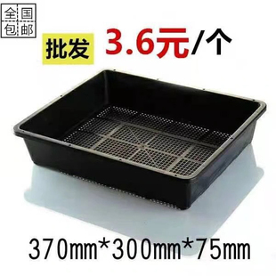 多肉育苗盘带盖塑料加厚整理叶插扦插花盆接水托盘黑方闷养托架框