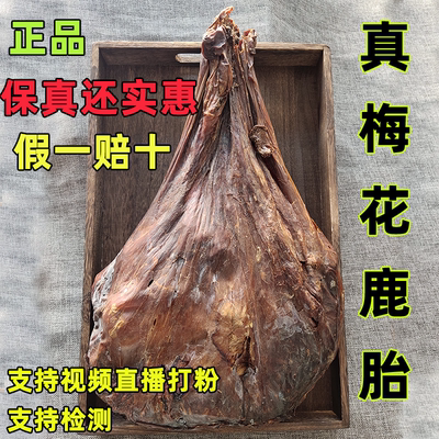 鹿胎粉正品100克吉林梅花鹿胎盘干鹿胎可孕前暖宫新鲜整个可打粉