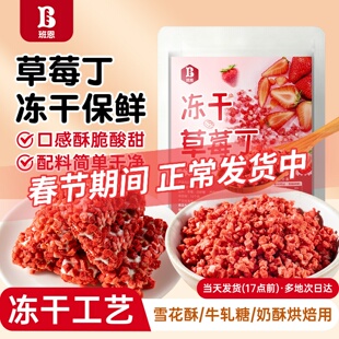 班恩冻干草莓碎丁冻干粒脆烘焙蛋糕雪顶冰淇淋蛋卷雪花酥装饰原料