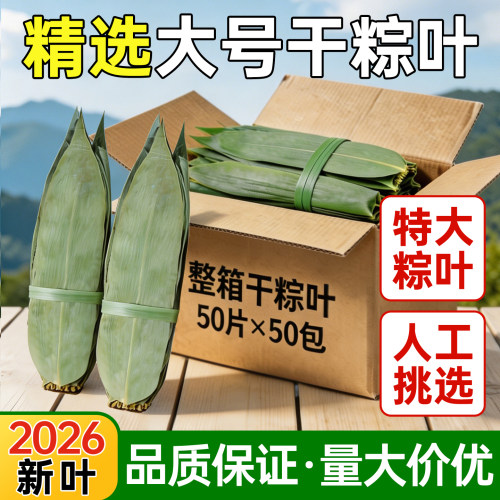 干粽叶特大号粽子叶新鲜竹箬叶野