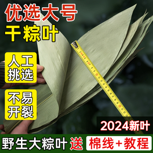 干粽叶大码粽子叶免邮新鲜麻竹箬叶商家用包粽子材料端午批发送绳