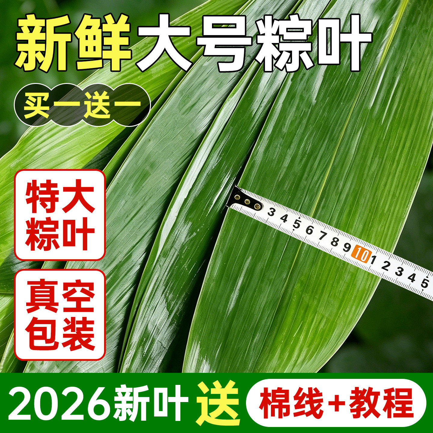 粽子叶新鲜大棕叶免邮商用批发包粽子的叶子宽箬棕叶干粽叶端午节