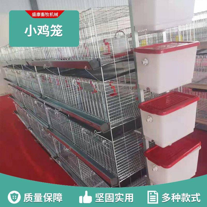 立式全自动四层清粪鸽子笼家禽小鸡笼蛋鸡笼层叠式养鸡设备