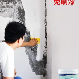 防水补墙膏墙面修补白色腻子防霉防潮内墙壁脱落修复翻新神器家用