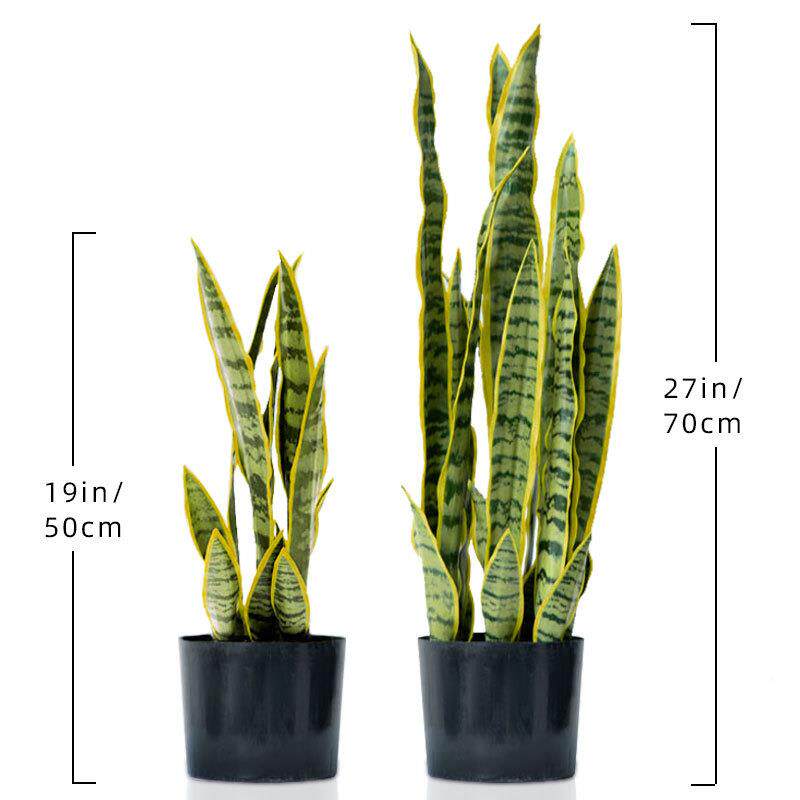 仿真 TNU金边虎兰虎皮兰盆栽 造景饰 仿真皮绿植道具 手感装虎皮