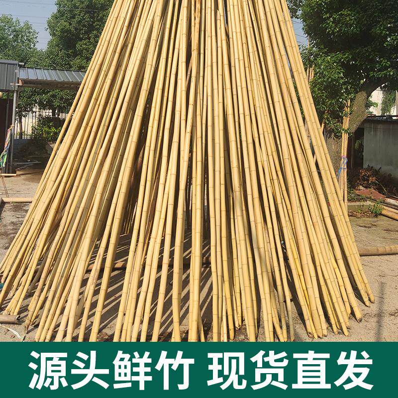 防腐竹竿装饰用竹杆 户外用防腐竹杆竹架 竹子吊顶隔断搭架材料