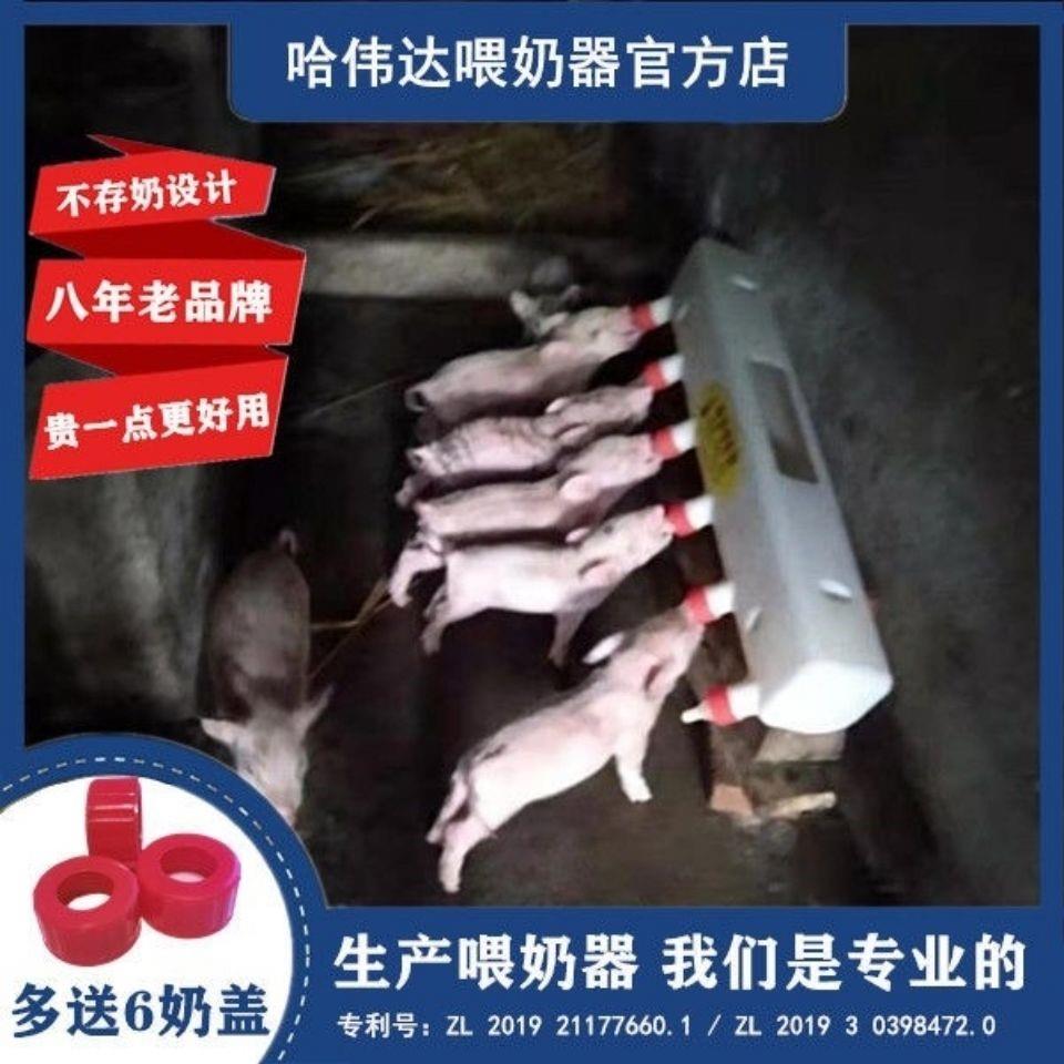 小猪仔猪喂奶器 幼崽哺乳器 小羊羔吃奶奶瓶奶壶零存奶畜牧养殖。