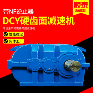45带逆止器泰兴减速机厂家 31.5 定制DCY系列硬齿面减速机 DCY500