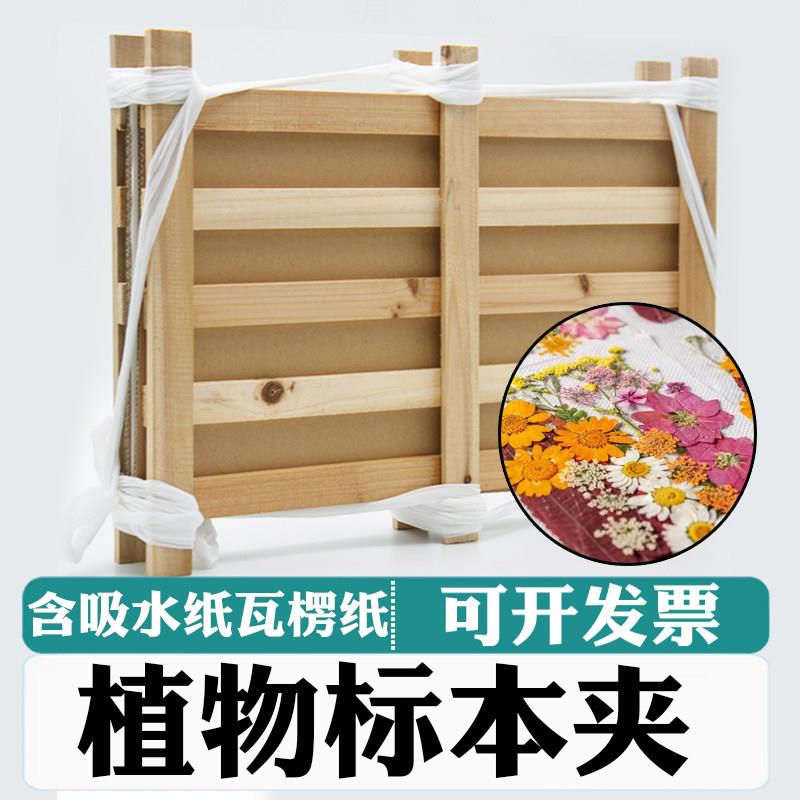 松木植物标本夹花卉树叶标签压花吸水纸瓦楞纸实验器材教学仪器