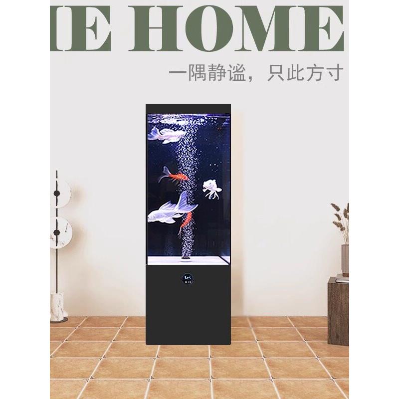 客厅落地款超白玻璃免换水智能自循环过滤干湿分离风水生态鱼缸