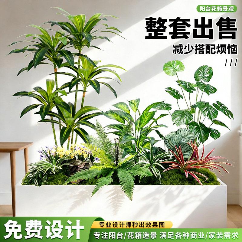 彷真绿色植物造景组合室内玄关阳台隔断花箱景观商场橱窗庭院装饰