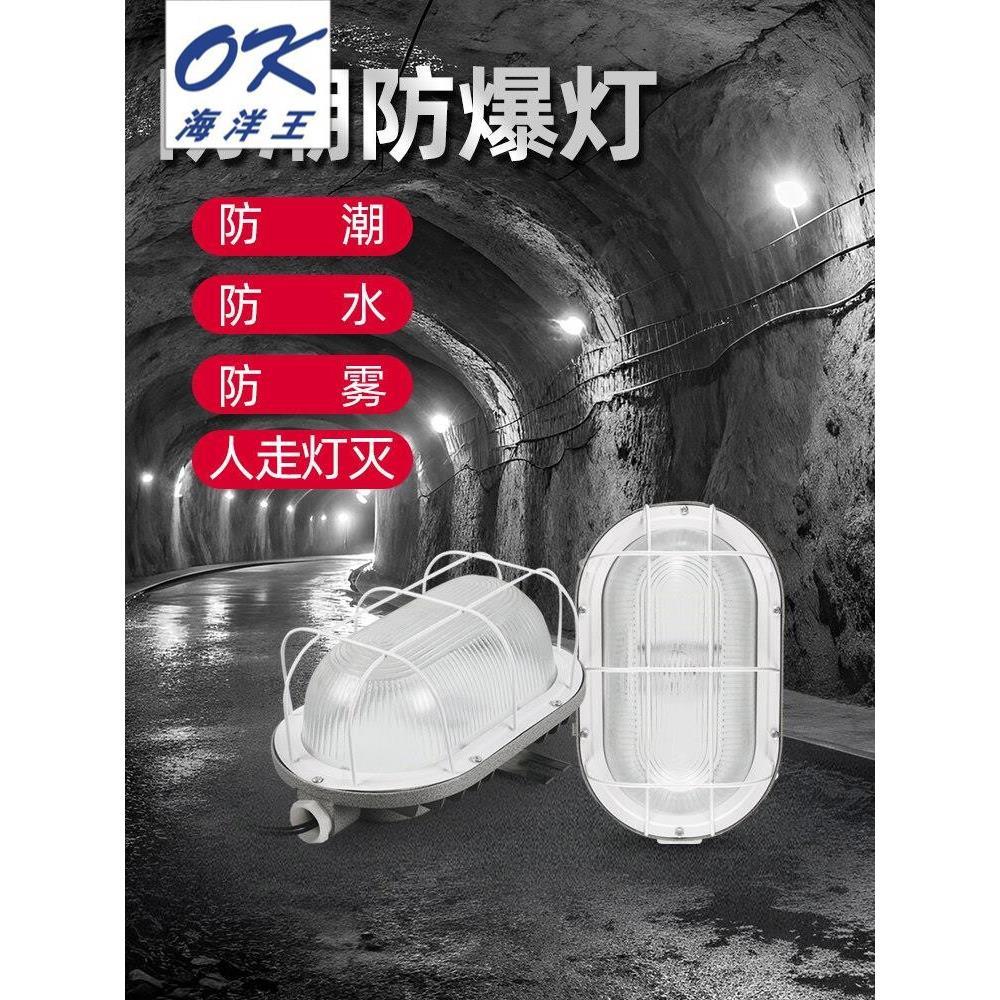 海洋王防潮防爆灯壁挂声控感应吸顶led防水灯防雾贴墙三防配电间