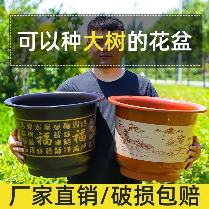 【拍一发四】发财树果树专用特大号加厚耐用树脂花盆仿陶瓷花盆