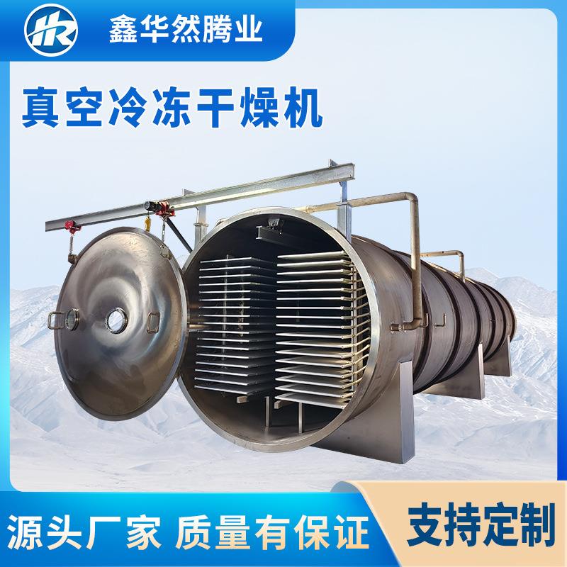 全自动水果冻干机苹果片软枣猕猴桃草莓冻干设备真空冷冻干燥机