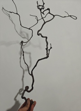 龙枣树干枝造型自然枯枝造型