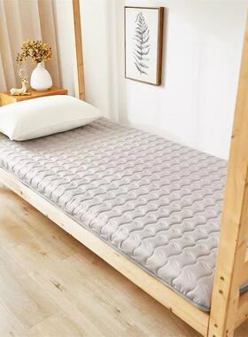 定制床垫宿舍学生单人80/85/90x190x95x200x75x180x70x170/185cm