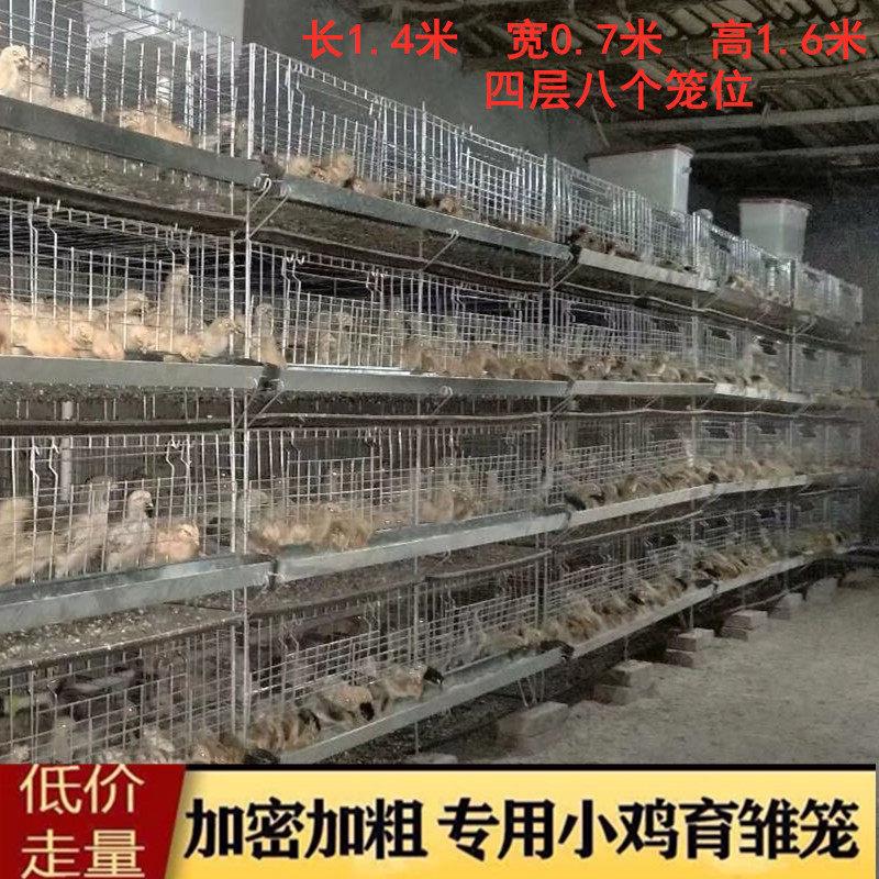 育雏笼加粗加密雏鸡笼小鸡笼子4层立式脱温鸡笼养殖场专用鸡苗笼