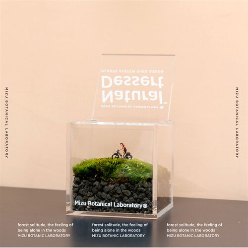 花治实验室苔藓植物礼品苔藓微景观创意礼物桌面情绪生态瓶办公室