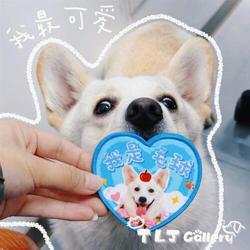 TLJ原创猫狗个性社交双面魔术贴diy牵引绳定制狗牌提示牌宠物周边