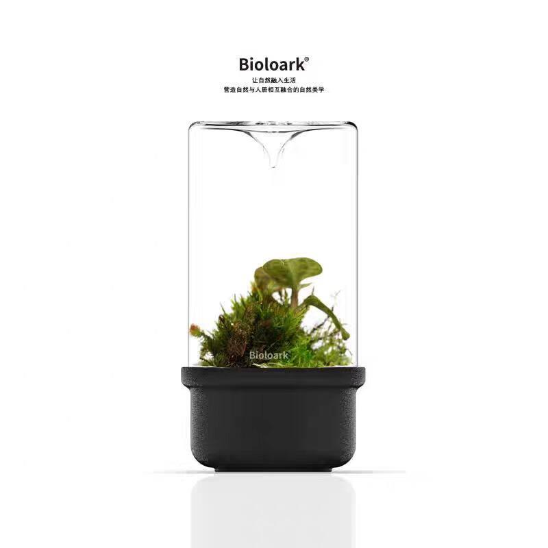 露集杯陶瓷底生物方舟保湿创意桌面食虫苔藓微景观玻璃生态瓶