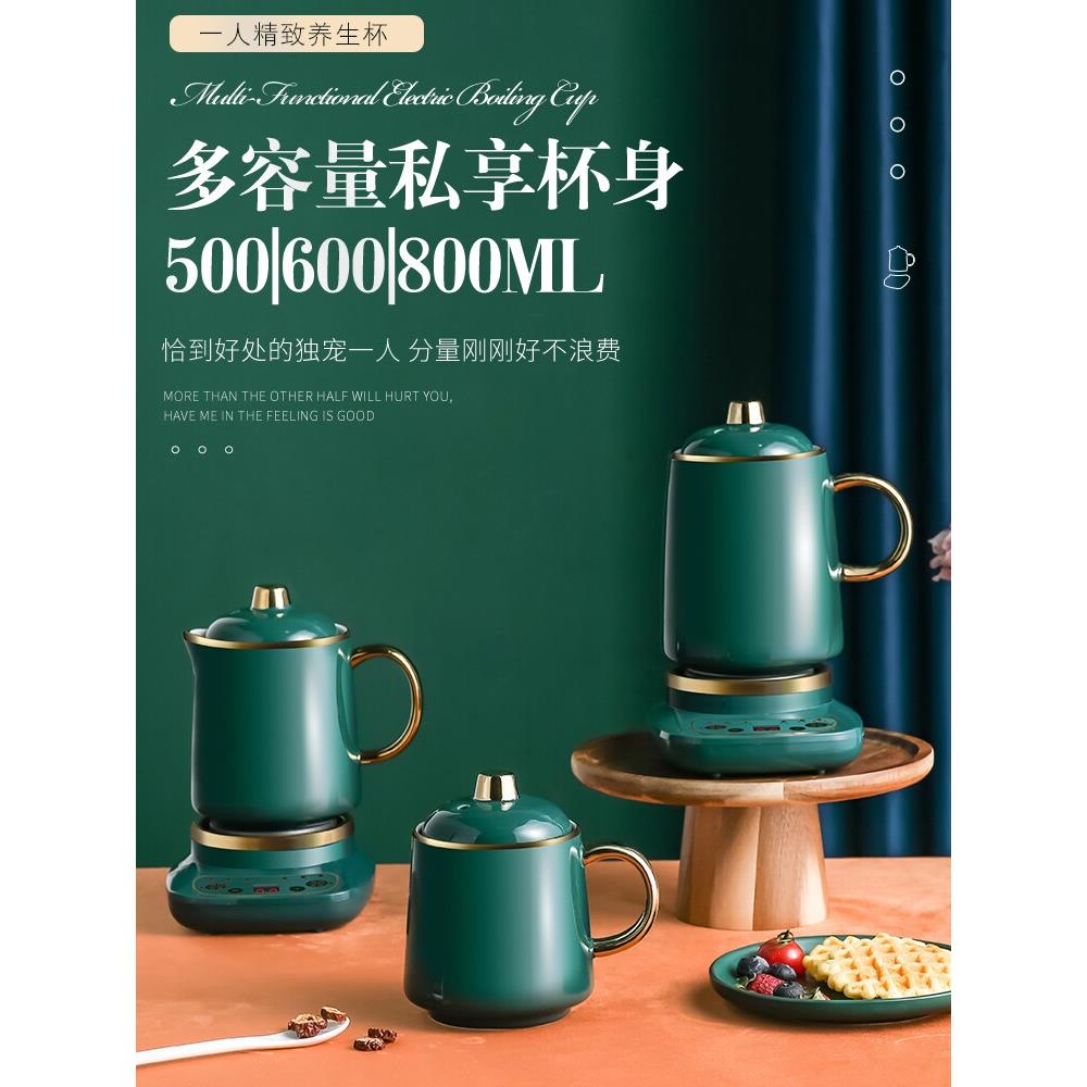养生壶办公室迷你小型煮茶壶mini全自动煮茶器家用多功能全玻璃底