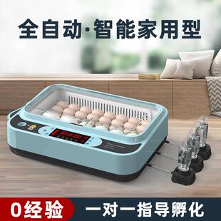 孵蛋器小型家用型孵化器全自动孵化机智能芦丁小鸡鸭鹅鹦鹉孵新款