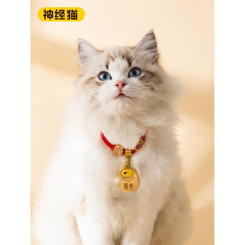猫牌猫咪刻字项圈宠物狗狗项链防走丢围脖铃铛宠物饰品Z防丢失定