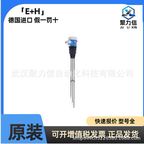 E+H原装 现货 电导式限位开关FTW31-A1A5CA0Y 恩德斯豪斯原装正品