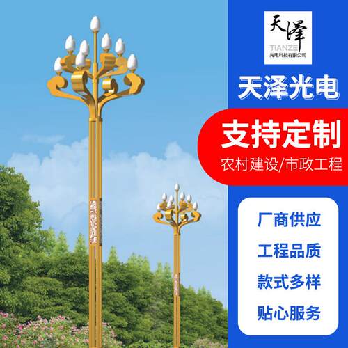 厂家定制户外中华灯组合灯市政工程照明道路美化玉兰灯中华灯