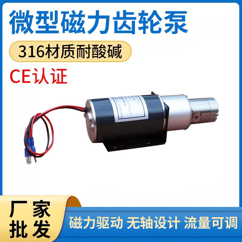 厂家定制微型不锈钢齿轮油泵LY-200平稳低噪音自控磁力小型水泵