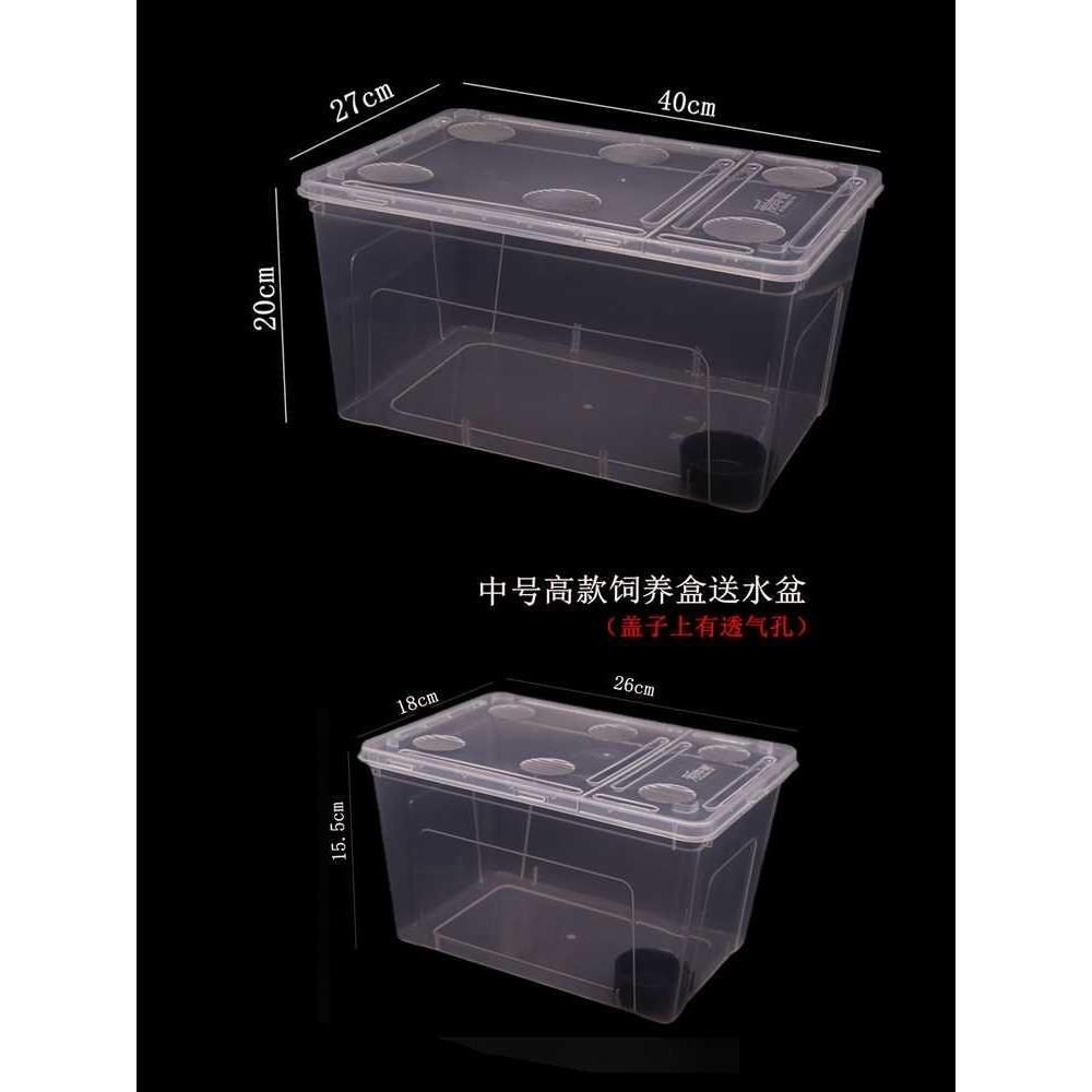 爬宠饲养盒守宫蛇饲养箱带盖角蛙宠物用品蜘蛛昆虫龟缸鱼缸发色盒