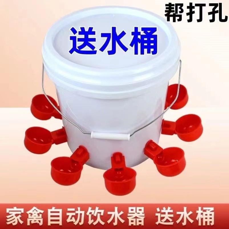 鸡鸭鹅家禽自动喂水器养殖专用