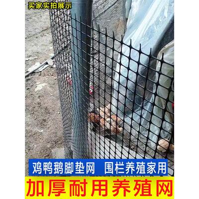 黑色塑料网围栏网养殖网鸡鸭鹅围网果园圈地防护网鱼塘防逃网围挡