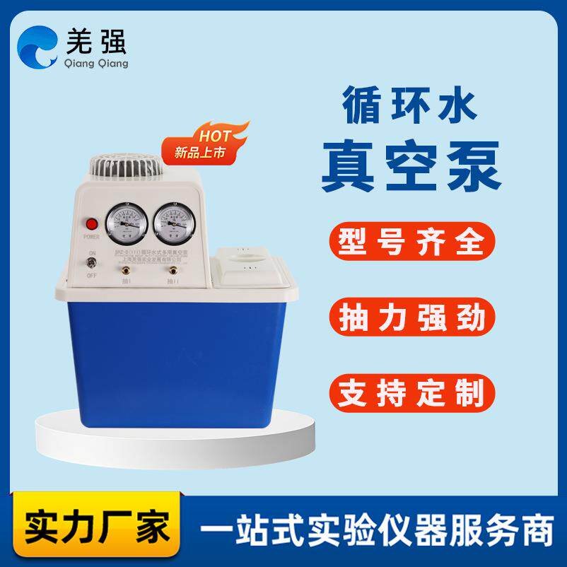 循环水式多用真空泵SHZ-DIII防腐型双表双抽实验室台式多用真空泵