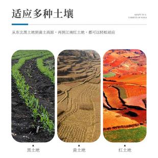 土壤墒情监测站探针温湿度自动检测仪智能多层数据采集含水率 管式