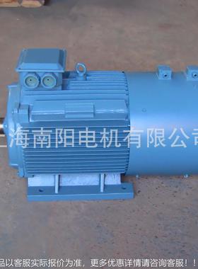 供应上海南阳YZP315M-10起重变频三相异步电机