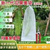青瓜袋加密纱网袋黄瓜p防虫套袋苦瓜丝瓜黄瓜果防鸟器罩透气束口