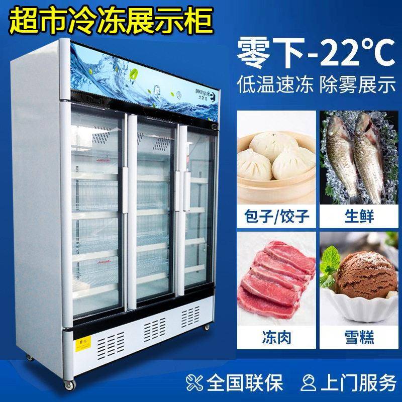 立式冷冻牛肉牛排冰柜羊肉卷预制菜冷柜速冻榴莲风冷冻展示柜肉类