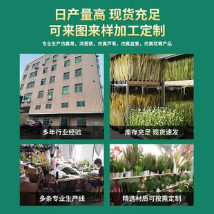 北简约洋葱草满天星蒲苇草婚仿庆场景装饰假EKT花橱窗造景欧绿真