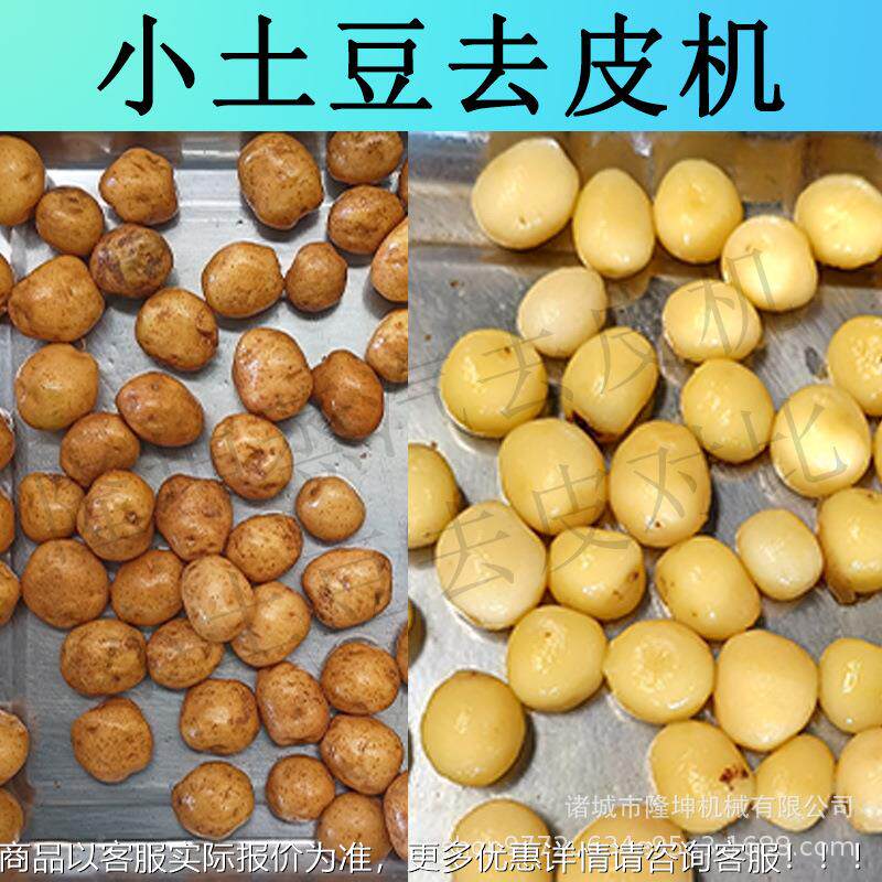 大型全自动小土ZXV豆薯脱皮机 物西红柿马铃去皮机 头红薯芋理削